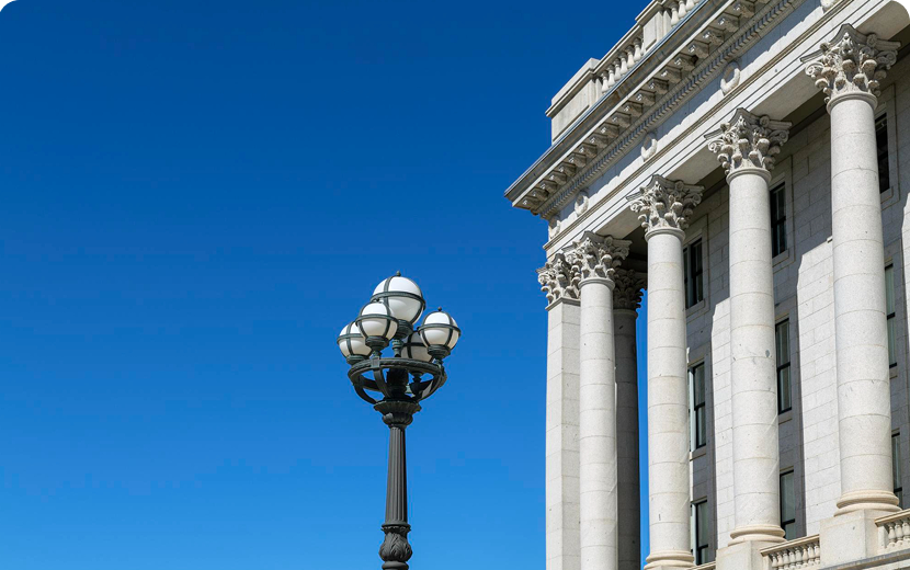 Government & Public Institutions