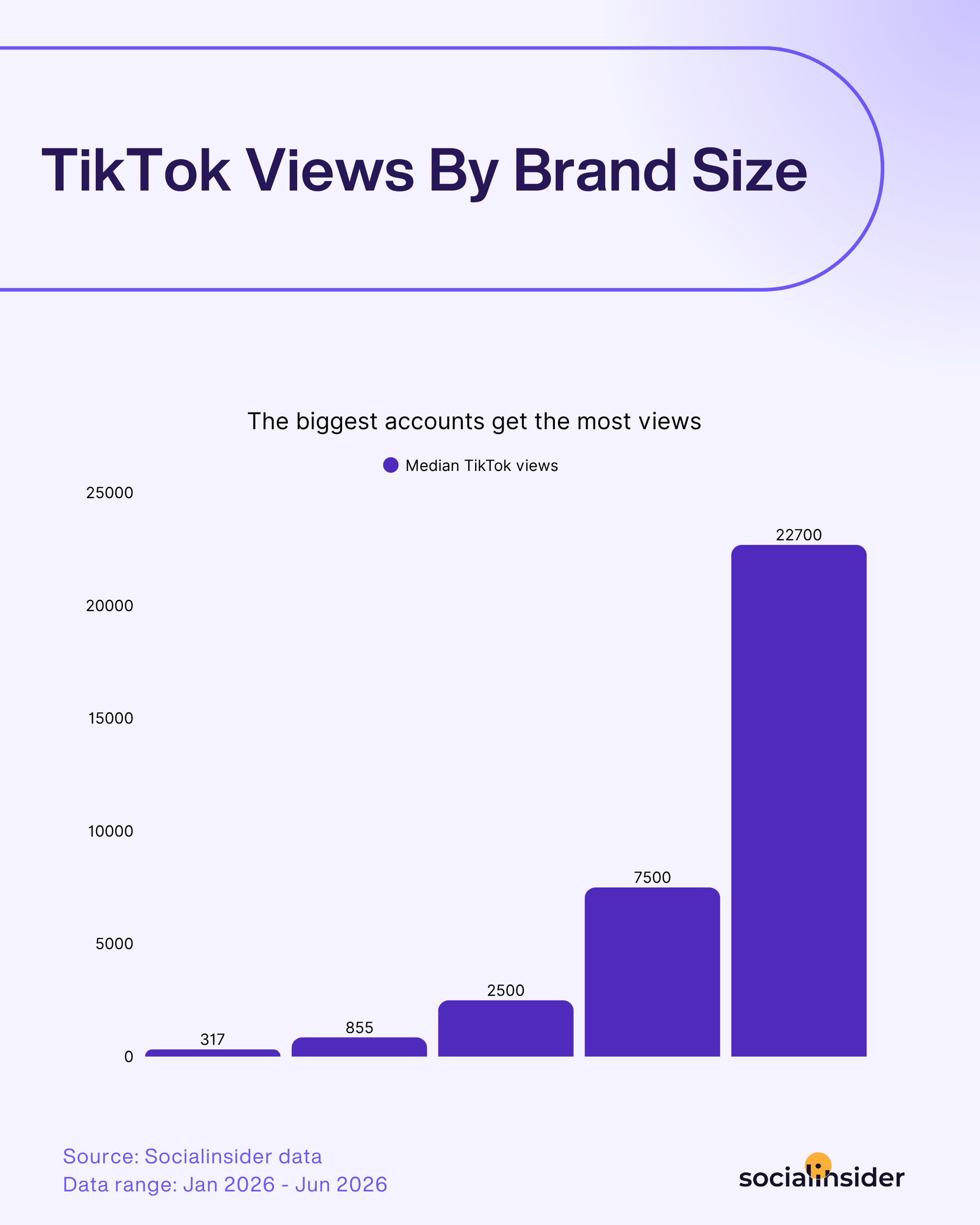 tiktok views by brand size
